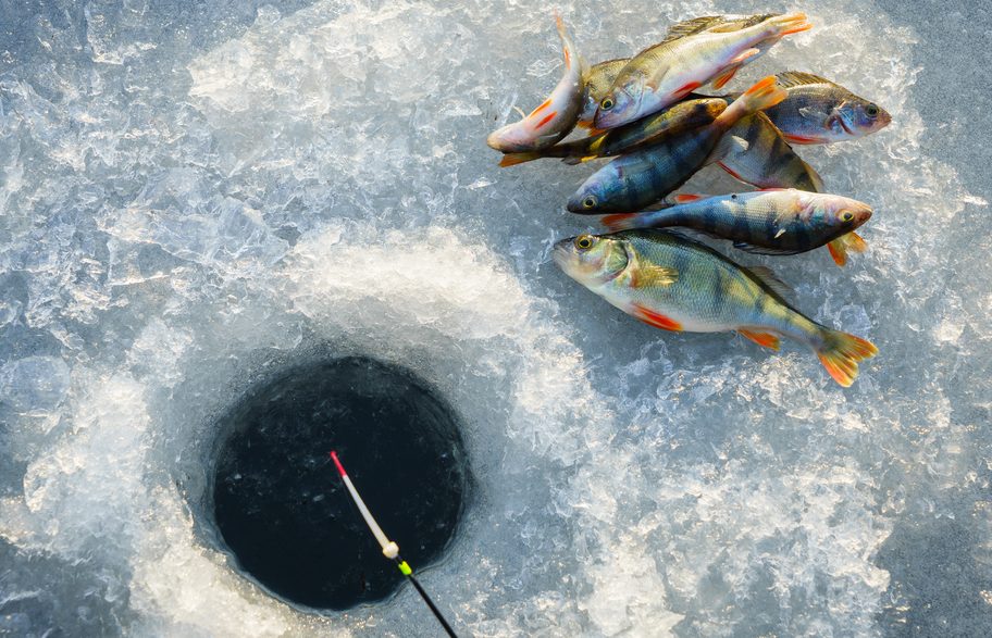 Ice Fishing Tips for Beginners